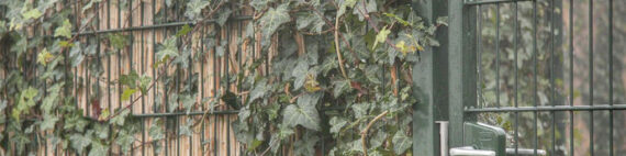 DSM hekwerk in Friesland