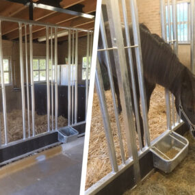 paardenboxen Friesland