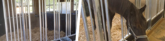 paardenboxen Friesland
