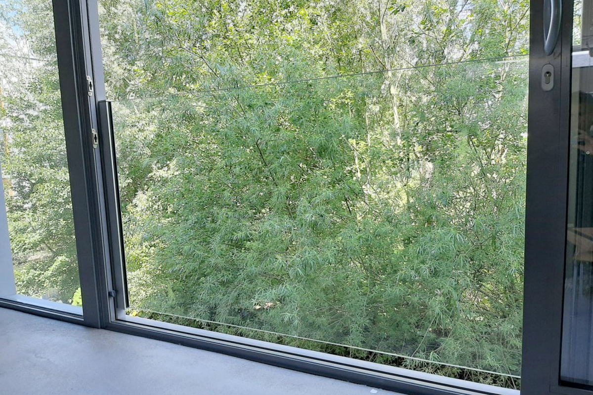 Frans balkonhek Gorredijk