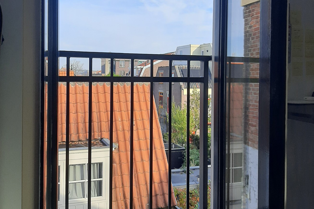 Frans balkonhek Oldeberkoop