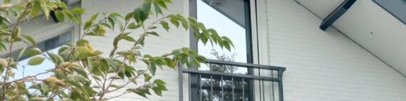 Frans balkonhek antraciet