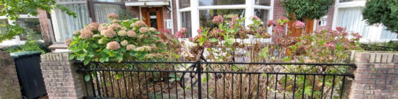 Sierhekwerk tussen muurtjes