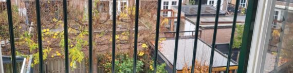 Stalen Frans balkonhek in Groningen